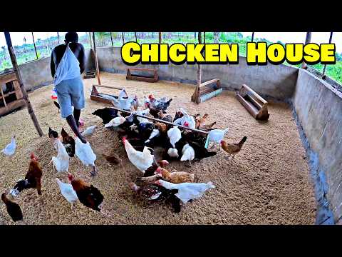 CHICKEN & GOAT HOUSE At Triple-A Healthy Harvest Farm - 🇸🇱 Episode 6 - Farming In Sierra Leone