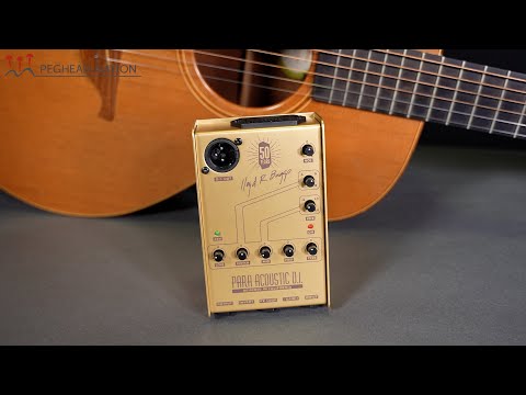 L.R. Baggs Para DI Limited Gold Edition Demo from Peghead Nation