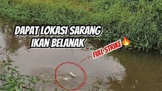 Download lagu Awal Mancing Sudah Kehujanan Tapi Terbayarkan Setelah Dapat Lokasi Sarang Ikan Belanak‼️🔥 mp3