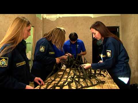 Курские волонтёры расширяют сотрудничество с региональным отделением ДОСААФ