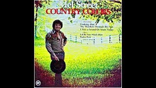 Looking Out My Window Through The Pain~Mel Street