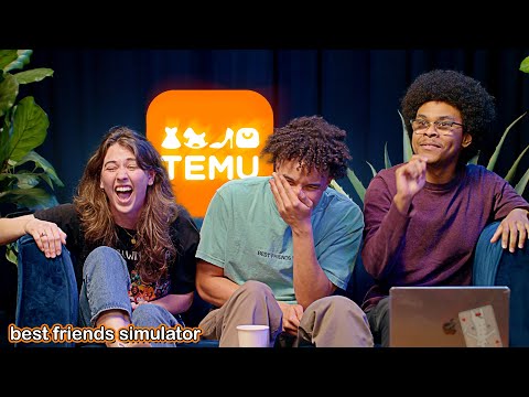 We Spent $300 On Temu