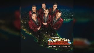 Conjunto Primavera - Arrepentido ♪ 2017