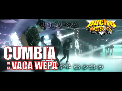 💯 CUMBIA DE LA VACA WEPA ⭐️ DJ PUCHO MASTERMIX (Kumbias con wepa - Cumbias editadas)