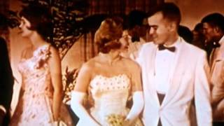 Ocelot Robot - Beautiful Disgrace