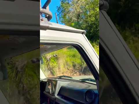 Cruzando el Lunarejo RIVERA