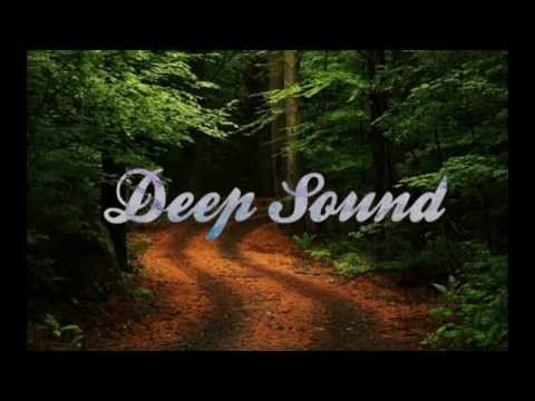 Deepjack, Mr Nu feat  Veselina Popova (Crush Liva K Maxim Kurtys Remix)