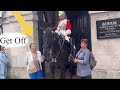 Shocking!!! Silly Idiots Provoked and Missed the king’s guard!!!