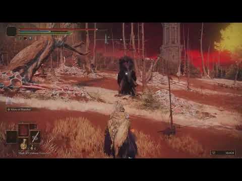 Elden Ring - HOW TO DEAL WITH THE BIRDS IN CAELID