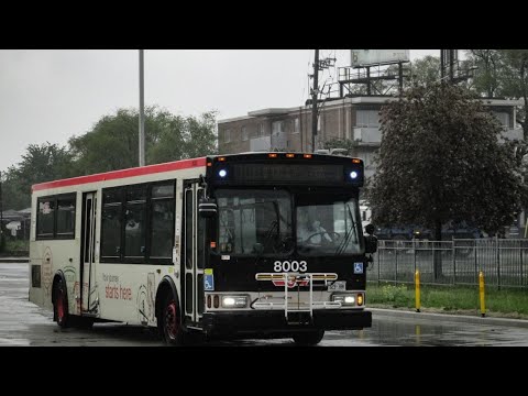 [TTC] [Training Bus] Orion OG Diesel 8003 - 101 Downview Park