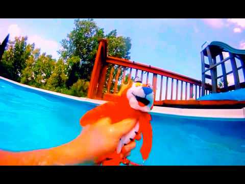 Copy of Tony Underwater