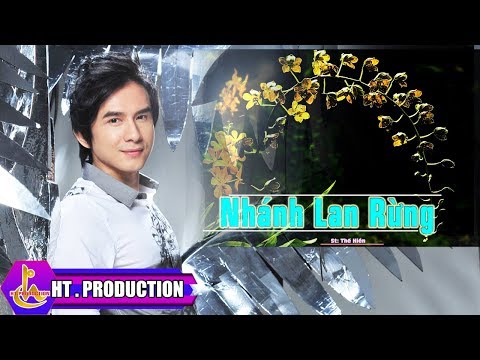 Nhánh lan rừng Sheet - Đan Trường