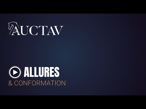 GUTAIFAN - VENTE MENSUELLE DE SEPTEMBRE 2025