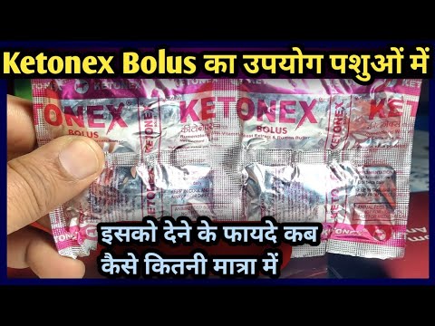 Ketonex Bolus Vet