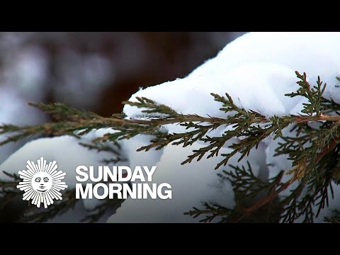 Nature: Snow in South Dakota
