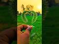 ️ehsaas Tere Or Mere To Ek Duje Se Judne Viral Status 4k Whatsapp Status New New Status
