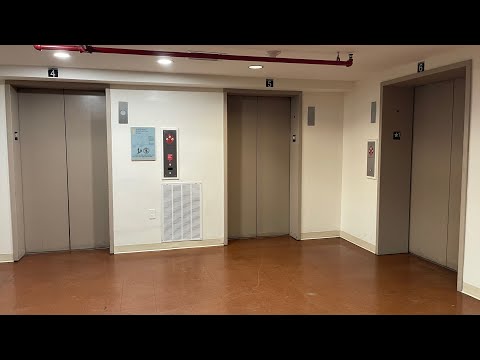 ThyssenKrupp SPF Elevators (Bank 2) at University View Apartments - Tower 1, College Park, MD