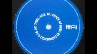 Claro Intelecto: Peace of Mind (Electrosoul)