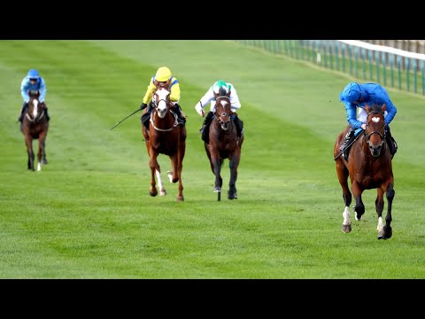 Study Of Words, son of Frankel, does his best to impersonate his Dad!