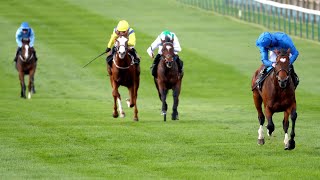 STUDY OF WORDS, son of Frankel, does his best to impersonate his Dad!