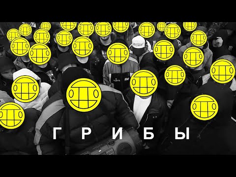 Грибы - Интро