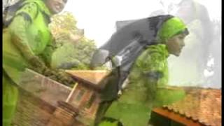 Download lagu Nida Ria - Rosul Pilihan [ ] mp3