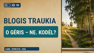 Kodėl gėris netraukia, o blogis traukia? | Žuvelė'26 #336 | V. Poškus ir A. Valkauskas