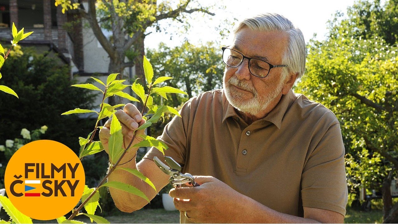 Zbožňovaný (2021) | Pocta Jiřímu Bartoškovi | celý film | HD