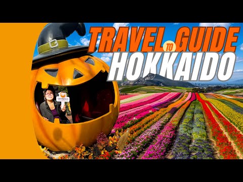 Japan Hokkaido Travel Guide: Top 15 Places, Best Seasons & Travel Tips - Expert Insights