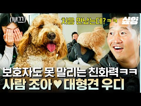 [#고독한훈련사] 첫 만남에 강형욱 무릎에 살포시ㅋㅋ 귀여움 한도초과 우디의 벌크업은 앞으로도~?
