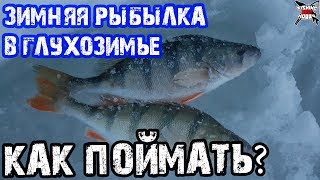 Мормышки на окуня в глухозимье