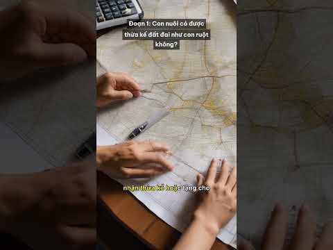 [Quan trọng] Chia Thừa Kế Đất Đai Cho Con Nuôi: Giải Mã Quyền... #Shorts