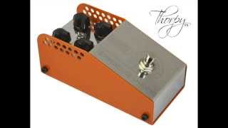 Video thumbnail for ThorpyFx Muffroom Cloud Fuzz Pedal by ThorpyFx