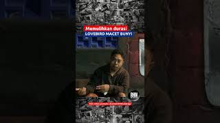 Download lagu Solusi Lovebird Macet bunyi,Hilang durasi#lovebird #lovebirdkonslet #lovebirdfighter #lovebirdmania mp3