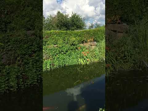 Restaurant Kastell YouTube-Vdeominiatur 21