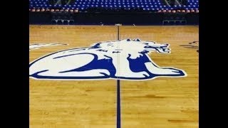 Kyle Lowry Been Ballin Steve Aoki