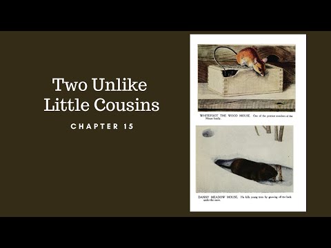 Listen and Look Burgess Animal Book Chapter 15: Two Unlike Little Cousins