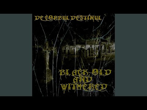 Daisy's Destruction - De Corbul Destinul: Song Lyrics, Music Videos & Concerts