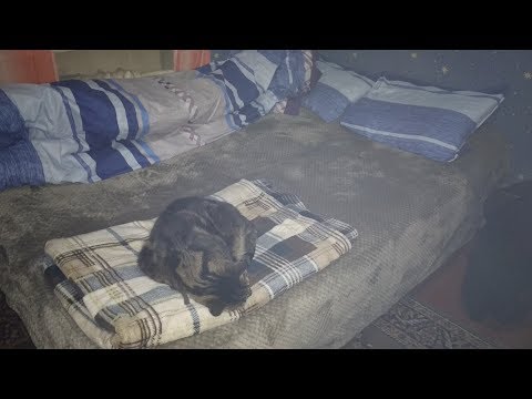 Очень красивое постельное белье из натурального хлопка и бархатный плед