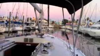 Sailing with Dolphins in Galveston Bay