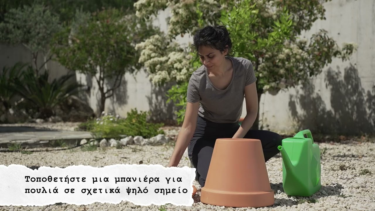 Κάντε το μπαλκόνι ή την αυλή σας φιλικά για τα πουλιά