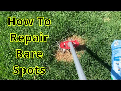 How To Repair Bare Spots in Tall Fescue