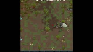 Video 6