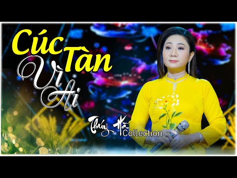 CÚC TÀN VÌ AI 🌻Hoa Vàng Đã Thôi Vàng Vì Muộn Màng | Thúy Hà Collection