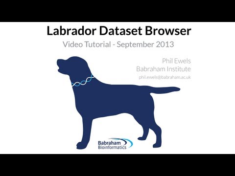 Labrador Computer