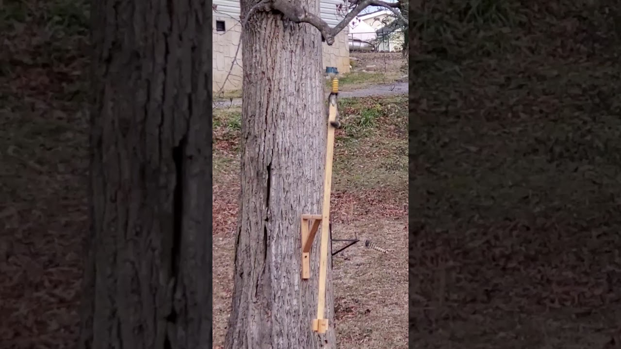 Funny Squirrel Feeder