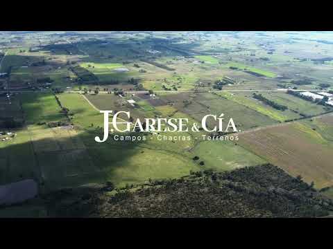 Chacra - 56 has. - IC: 98