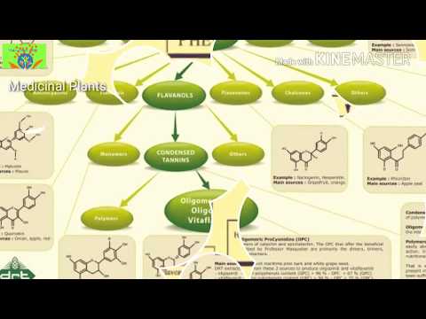 Classification of phytochemicals