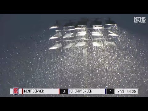 MLAX HIGHLIGHTS: 2019 5A Championship