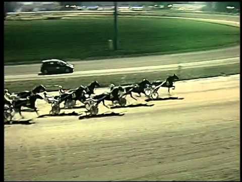 Trotto 23/10/2014 - 8° corsa